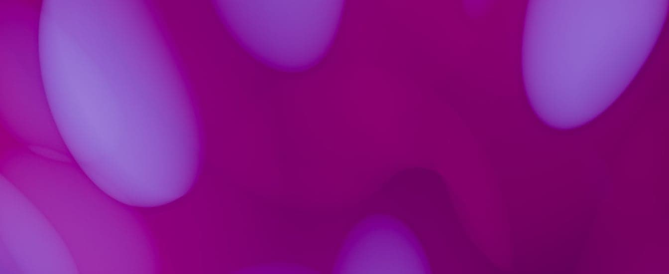 Arsenalia
